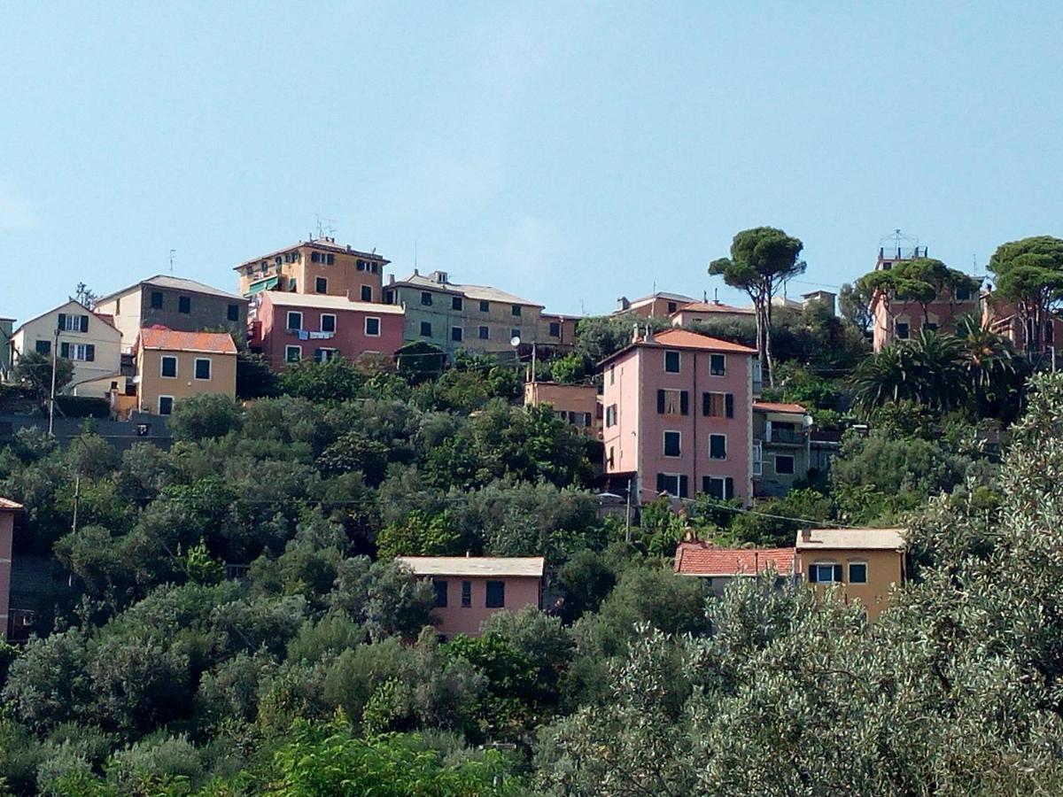 Villino "Il Rustichetto" Villa Genoa Exterior photo